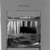 Gold Award #10