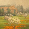 Spring Morning--Sonoma