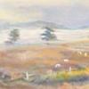 Magical Place - Quidnet