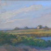 Miacomet Moors