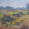 Ram Pasture - September