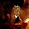 Bacteria_Serie_4