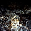 Rocas