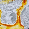 Salt landscape