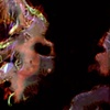 Bacteria_SM_E0_24B