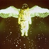 The Cosmonaut