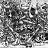 Polytropos