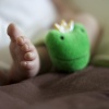 Rich Frog
