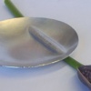 'Stem' Bon bon / Olive dish