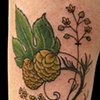 beer plant