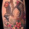 sparrow and cherry blossoms