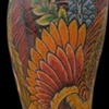 phoenix and dragon