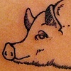 Pork Parts