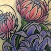 purple chrysanthemum