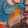 Bluebird with suitcase