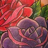 red and purple roses