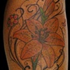 tiger lilies