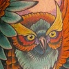 owl