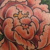 pink peony