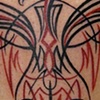 pinstripe phoenix