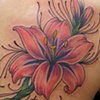 pink/purple scrolly lily