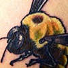 bumblebee