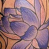 Purple Lotus