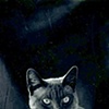 Gary