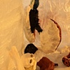 "Brownfield Towers"

Night install shot (detail)
