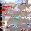Paper Cranes