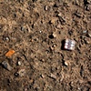 Side of the Die
