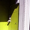 Green Door