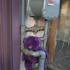 Purple Teddy Bear
