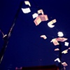 Flying Books