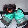 New York City Doll