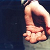 Cut, 2004