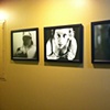 Exhibition Installations