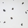 Untitled, (fragments)