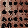Skull Tapa