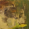 The Swamp