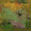 The Marsh