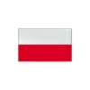 biography & artist statement polski