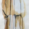 Robes Aqueuses