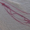 Baltic red line #6