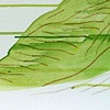 Paysage ruban #1