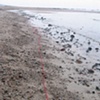 Baltic red line #1