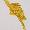 Serie jaune 2