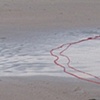 Baltic red line #4
