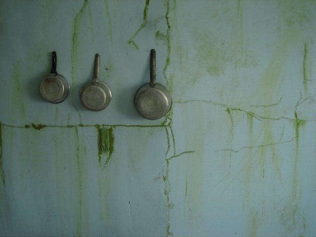 Detail of kitchen wall