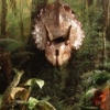 Opening Scene